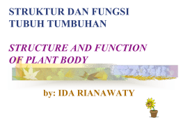 STRUKTUR DAN FUNGSI TUBUH TUMBUHAN  STRUCTURE AND FUNCTION OF PLANT BODY by: IDA RIANAWATY.