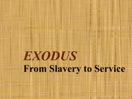 EXODUS From Slavery to Service 3. Moses as Wanderer Search for Identity (Exodus 2:11-25)