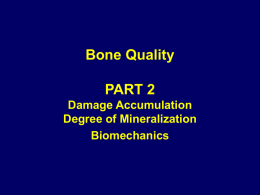 Bone Quality PART 2 Damage Accumulation Degree of Mineralization Biomechanics Bone Quality Architecture Turnover Rate  Damage Accumulation Degree of Mineralization Properties of the Collagen/Mineral Matrix  Adapted from NIH Consensus Development.