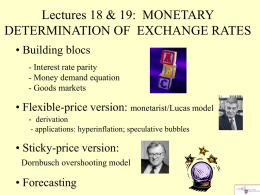Lectures 18 & 19: MONETARY DETERMINATION OF EXCHANGE RATES • Building blocs - Interest rate parity - Money demand equation - Goods markets  • Flexible-price version:
