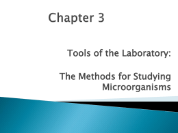 Tools of the Laboratory: The Methods for Studying Microorganisms 1.  Inoculation – introduction of a sample into a container of media to produce a.