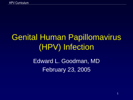 HPV Curriculum  Genital Human Papillomavirus (HPV) Infection Edward L. Goodman, MD February 23, 2005