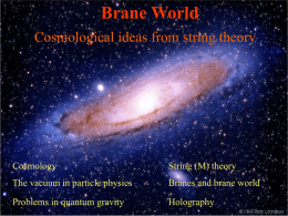 Brane World Cosmological ideas from string theory  Cosmology  String (M) theory  The vacuum in particle physics  Branes and brane world  Problems in quantum gravity  Holography.