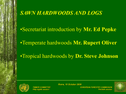 SAWN HARDWOODS AND LOGS •Secretariat introduction by Mr. Ed Pepke •Temperate hardwoods Mr.