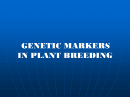 GENETIC MARKERS IN PLANT BREEDING Marker Gene of known function and location, or a mutation within a gene that allows studying the inheritance of.