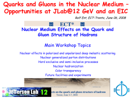 Quarks and Gluons in the Nuclear Medium – Opportunities at JLab@12 GeV and an EIC Rolf Ent, ECT-Trento, June 06, 2008  Nuclear Medium.