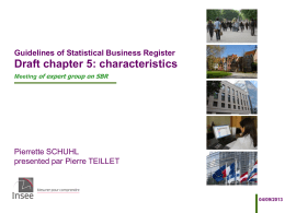 Guidelines of Statistical Business Register  Draft chapter 5: characteristics Meeting of expert group on SBR  Pierrette SCHUHL presented par Pierre TEILLET  04/09/2013
