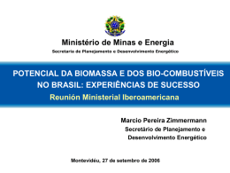 MINISTÉRIO DE MINAS E ENERGIA  Ministério de Minas e Energia Secretaria de Planejamento e Desenvolvimento Energético  POTENCIAL DA BIOMASSA E DOS BIO-COMBUSTÍVEIS NO BRASIL: