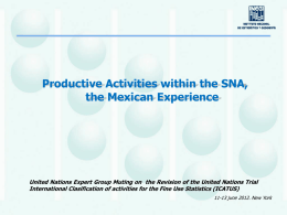 Productive Activities within the SNA, the Mexican Experience  United Nations Expert Group Muting on the Revision of the United Nations Trial International Clasification.