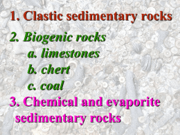 1. Clastic sedimentary rocks  2. Biogenic rocks a. limestones b. chert c. coal 3. Chemical and evaporite sedimentary rocks.