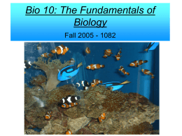 Bio 10: The Fundamentals of Biology Fall 2005 - 1082  Copyright © The McGraw-Hill Companies, Inc.