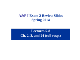 A&P I Exam 2 Review Slides Spring 2014 Lectures 5-8 Ch. 2, 3, and 24 (cell resp.)
