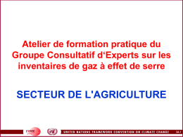 Atelier de formation pratique du Groupe Consultatif d‘Experts sur les inventaires de gaz à effet de serre  SECTEUR DE L'AGRICULTURE  3A.1