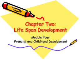 Chapter Two: Life Span Development Module Four: Prenatal and Childhood Development The Beginnings of Life: Prenatal Development • Zygote • Prenatal defined as – A newly fertilized “before.