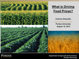 What is Driving Food Prices? Corinne Alexander cealexan@purdue.edu Purdue University August 16, 2013  Department of Agricultural Economics Purdue University.