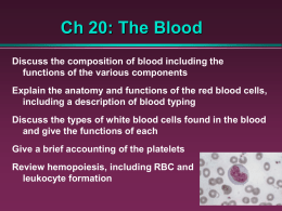 Ch 20: The Blood Discuss the composition of blood including the functions of the various components Explain the anatomy and functions of the.