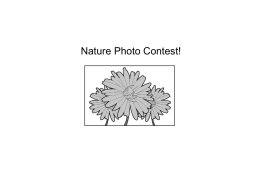 Nature Photo Contest! 1 Which idea is best supported by the information in the section Additional Information? &Omicron; A.