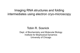 Imaging RNA structures and folding intermediates using electron cryo-microscopy  Tobin R. Sosnick Dept.