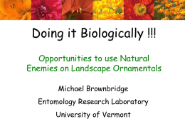 Doing it Biologically !!! Opportunities to use Natural Enemies on Landscape Ornamentals Michael Brownbridge  Entomology Research Laboratory University of Vermont.
