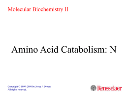 Molecular Biochemistry II  Amino Acid Catabolism: N  Copyright © 1999-2008 by Joyce J.