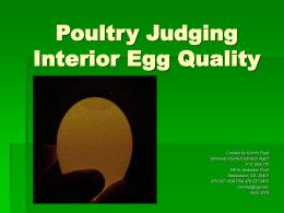 Poultry Judging Interior Egg Quality  Created by Connie Page Emanuel County Extension Agent P.O.