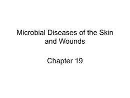 Microbial Diseases of the Skin and Wounds Chapter 19 • Functions of the skin – Prevents excessive water loss – Important to temperature regulation –