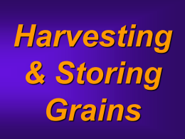 Harvesting & Storing Grains What factors determine proper time to harvest grain crops? Plant Characteristics  •Stage of Maturity •Tendency to Lodge •Tendency to Shatter.