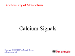 Biochemistry of Metabolism  Calcium Signals  Copyright © 1999-2007 by Joyce J. Diwan. All rights reserved.