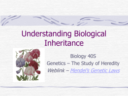 Understanding Biological Inheritance Biology 40S Genetics – The Study of Heredity  Weblink – Mendel’s Genetic Laws.