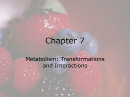 Chapter 7 Metabolism: Transformations and Interactions  © 2008 Thomson - Wadsworth Chemical Reactions in the Body • Plants use the sun’s energy to make carbohydrate from.