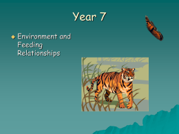 Year 7   Environment and Feeding Relationships Objectives In today’s lesson you will learn:  About the different habitats organisms live in.  How to describe the environment.