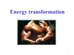 Energy transformation การเปลี่ยนรูปพลังงานและการหมุนเวียนสารเคมีในระบบนิเวศ Chloroplast และ mitochondria เป็ น organelles ที่เปลี่ยนพลังงานรู ปหนึ่งไปอีกรู ปหนึ่ง ในChloroplast เกิดกระบวนการ photosynthesis ซึ่งพลังงานแสงถูก เปลี่ยนเป็ นพลังงานสะสมใน คาร์โบไฮเดรต  ที่ mitochondria เกิด กระบวนการ cellular respiration พลังงานที่เก็บไว้ในคาร์โบไฮเดรตจะถูก เปลี่ยนเป็ นพลังงานในรู ป ATP.
