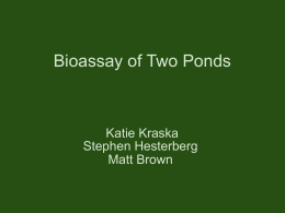 Bioassay of Two Ponds  Katie Kraska Stephen Hesterberg Matt Brown Motivations for Research • Dramatic shifts in free nutrient levels • Eutrophication • Effects specific to.