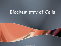Biochemistry of Cells  Copyright Cmassengale Uses of Organic Molecules Americans consume an average of 140 pounds of sugar per person per year Cellulose, found in plant cell walls,