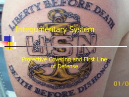 Integumentary System  Protective Covering and First Line of Defense Skin Trivia       21 Square Feet 4 Kilograms/9 pounds, 7% - 15% of Total Body Weight Complex Combination.