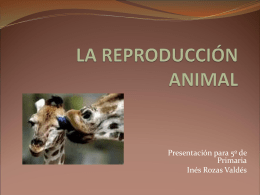 Presentación para 5º de Primaria Inés Rozas Valdés LA REPRODUCCIÓN Sexual: Se da en la mayoría de los animales. En casi todas las especies animales existen dos.