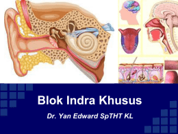 Blok Indra Khusus Dr. Yan Edward SpTHT KL Indra THT Pendengaran Penciuman Pengecapan  • Konduktif, koklea, retrokoklea  • N.