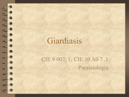 Giardiasis CIE 9 007, 1; CIE 10 A0 7 .1 Parasitología Giardiasis  agente etiológico         – Giardia lamblia (Giardia intestinalis, Giardia duodenalis) estado infectante : quiste hábitat.