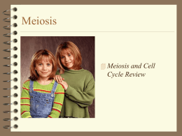 Meiosis   Meiosis and Cell  Cycle Review Engage  The Meiosis Dance Explore  Sockosomes - You will use a hands-on  manipulative that will allow.