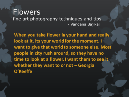 Flowers  fine art photography techniques and tips - Vandana Bajikar  When you take flower in your hand and really look at it, its your.