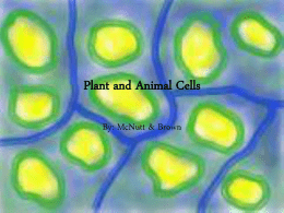 Plant and Animal Cells By: McNutt & Brown Essential Questions • What are the basic cell parts? • What is the function of.