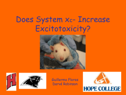Does System xc- Increase Excitotoxicity?  Guillermo Flores Darvé Robinson Cystine and Quisqualic Acid • Cystine is an amino acid. • Cystine is transported by the.