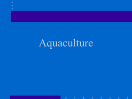 Aquaculture Aquaculture • the controlled production of animals that normally live in water (fish farming) • three thousand year old practice started by the Egyptians.