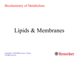 Biochemistry of Metabolism  Lipids & Membranes  Copyright © 1999-2006 by Joyce J.