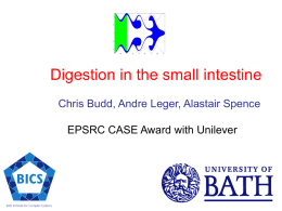 Digestion in the small intestine Chris Budd, Andre Leger, Alastair Spence EPSRC CASE Award with Unilever.