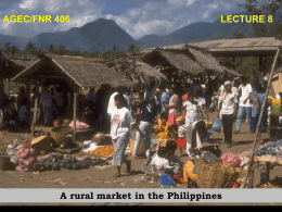 AGEC/FNR 406  LECTURE 8  A rural market in the Philippines Static Efficiency Lecture Goals: 1.