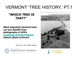 VERMONT ‘TREE HISTORY,’ PT.1 “WHICH TREE IS THAT?” What important Vermont trees can you identify from photographs in UVM’s Landscape Change Program historic photo archives?  North Hero, 1952.