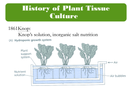History of Plant Tissue Culture 1861Knop: Knop’s solution, inorganic salt nutrition 1902 Haberlandt (Austria): Cultivate isolated plant cells in vitro on an artificial medium  Concept of.