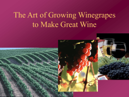 The Art of Growing Winegrapes to Make Great Wine Growing Winegrapes  Art  Science  Way of Life  Jobs  Tax Revenues  Exports  Tourism  Economics  GREAT WINE!
