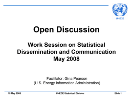 Open Discussion Work Session on Statistical Dissemination and Communication May 2008  Facilitator: Gina Pearson (U.S.